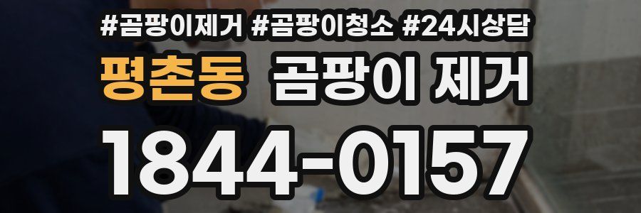 평촌동 곰팡이 제거