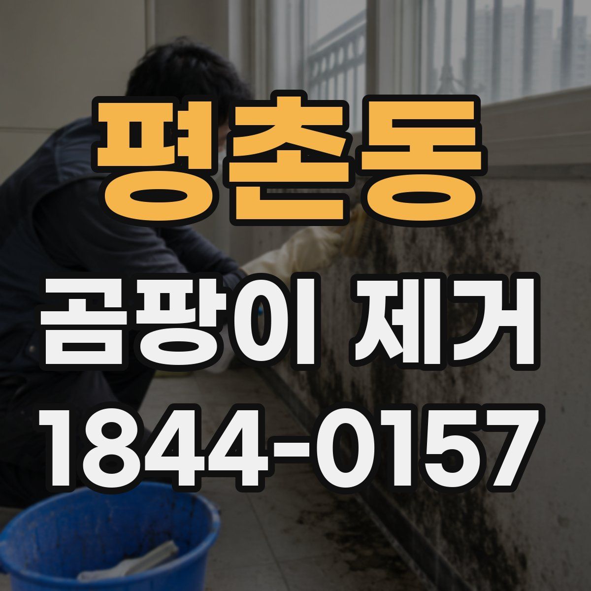 평촌동 곰팡이 제거