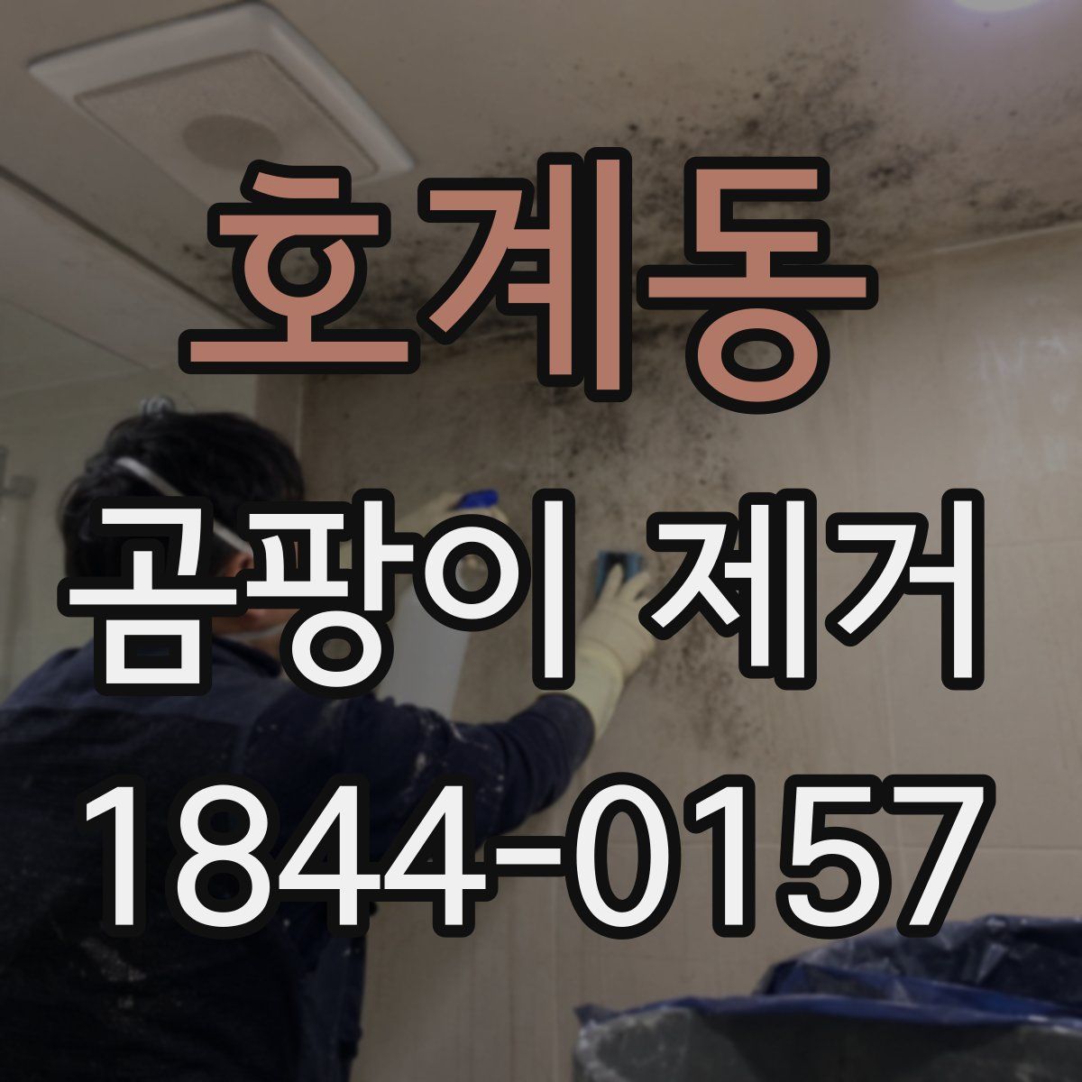 호계동 곰팡이 제거