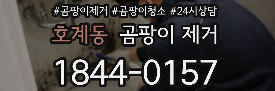 호계동 곰팡이 제거