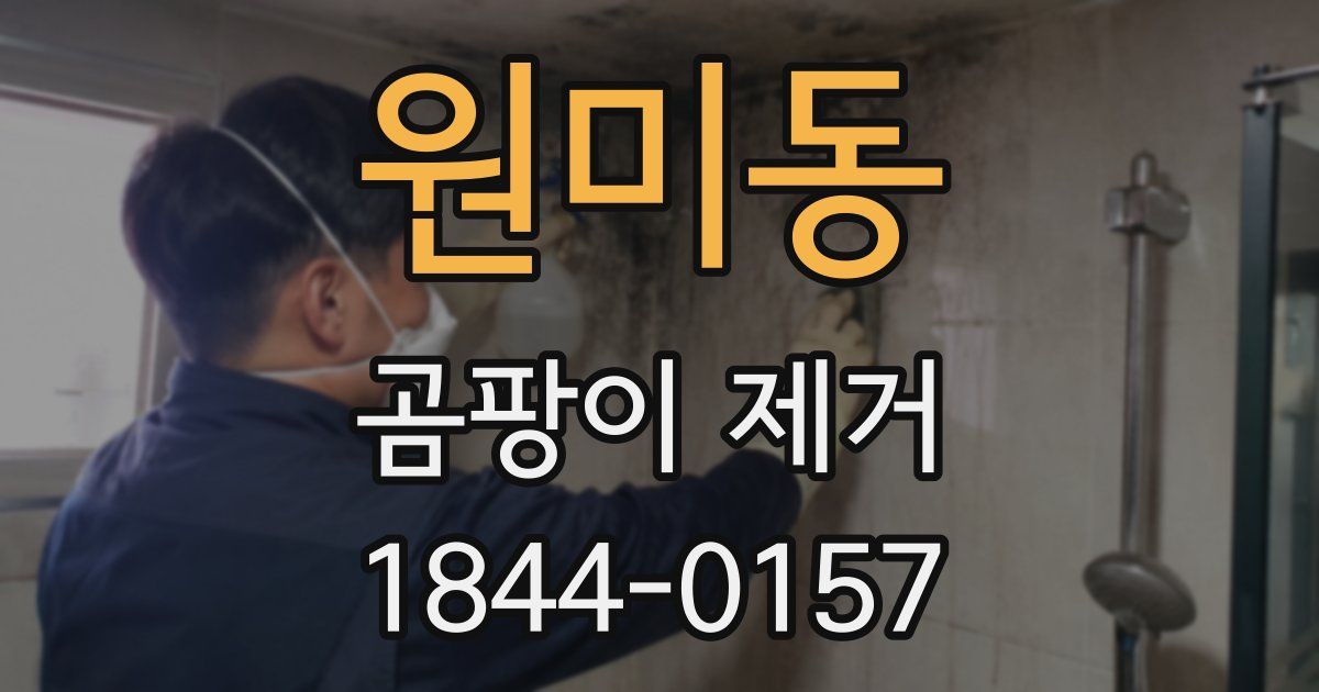 원미동 곰팡이 제거