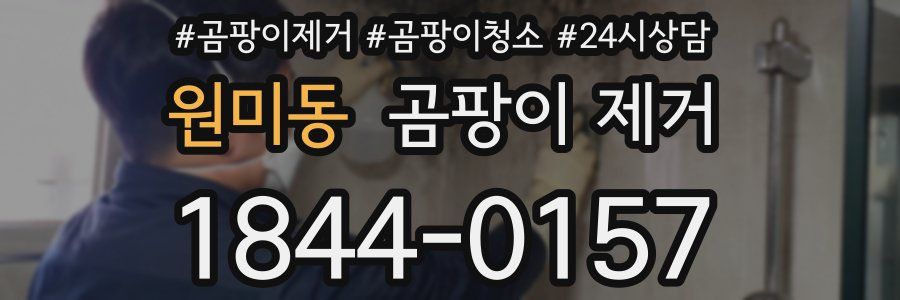 원미동 곰팡이 제거