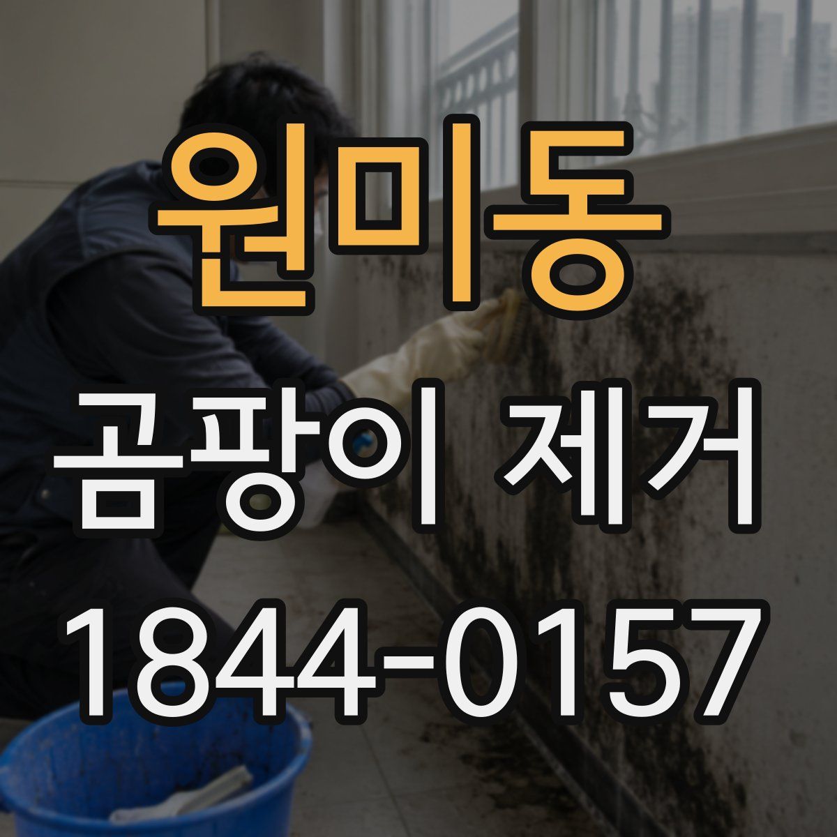 원미동 곰팡이 제거