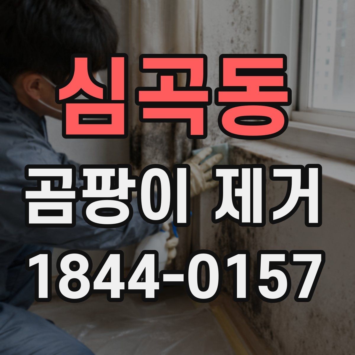 심곡동 곰팡이 제거 욕실 타일과 실리콘 부위 관리법