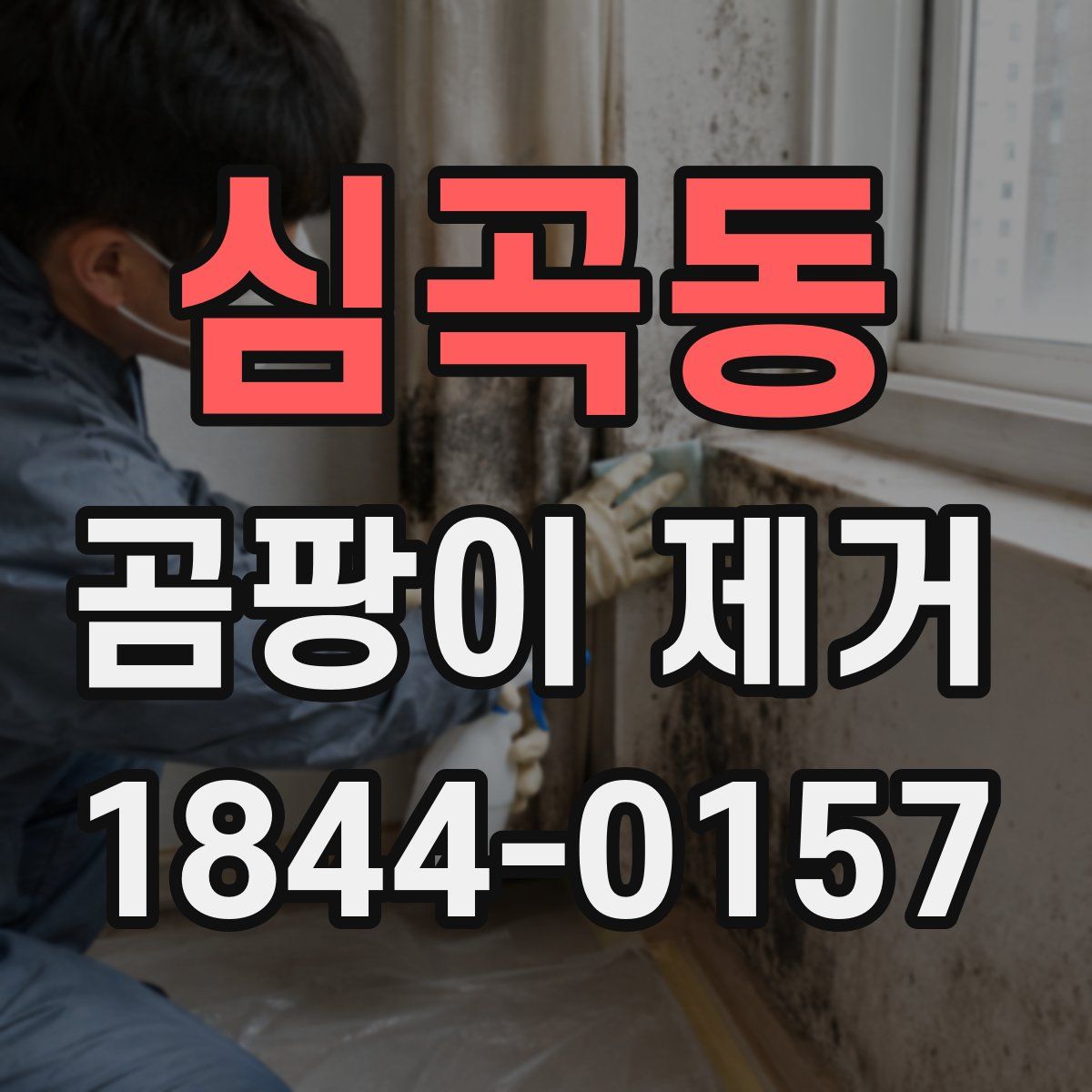 심곡동 곰팡이 제거