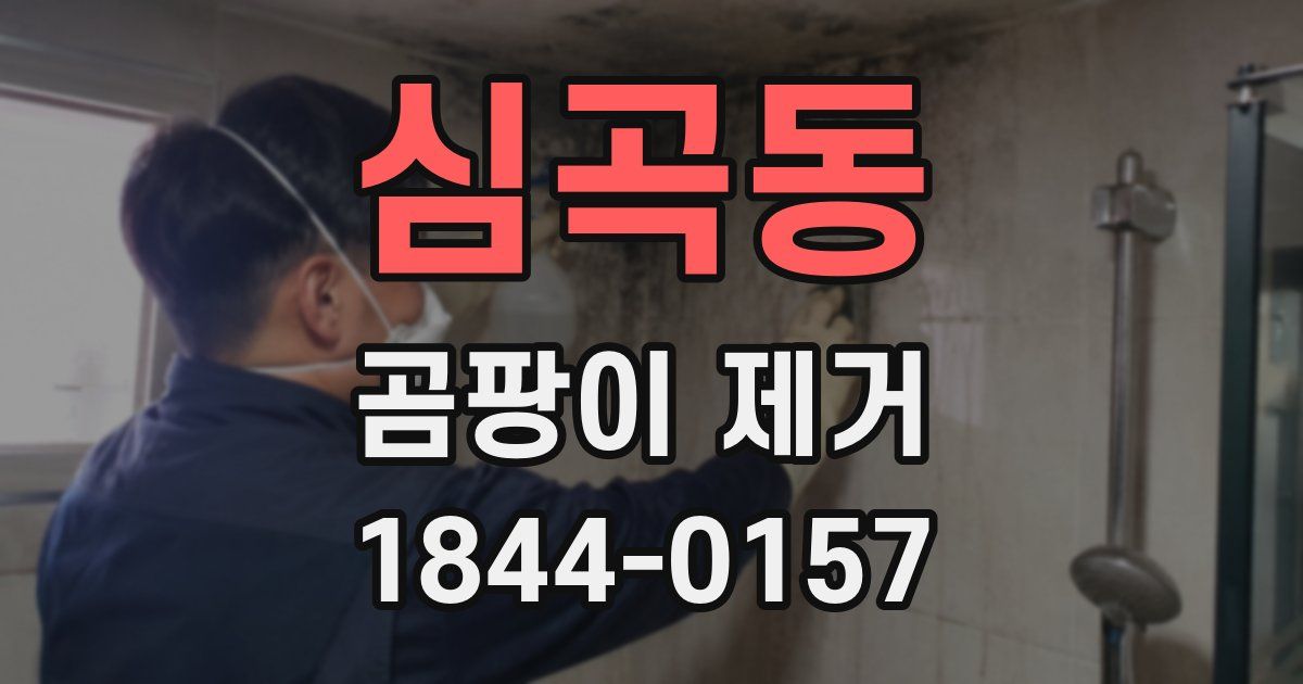 심곡동 곰팡이 제거