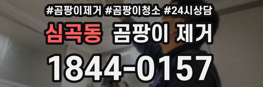 심곡동 곰팡이 제거
