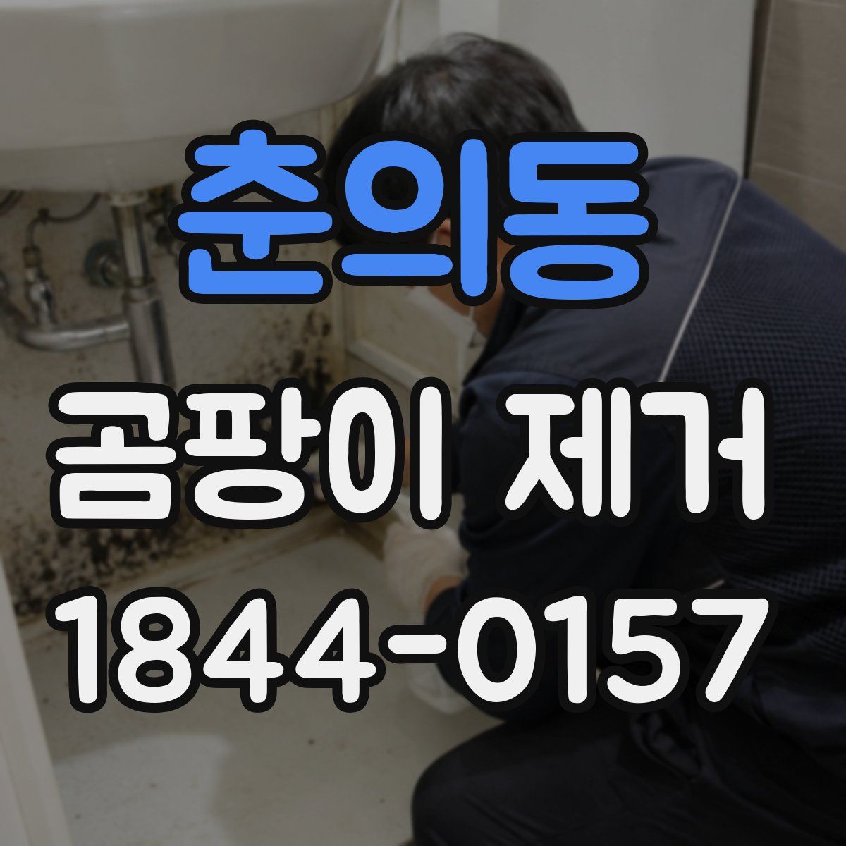 춘의동 곰팡이 제거