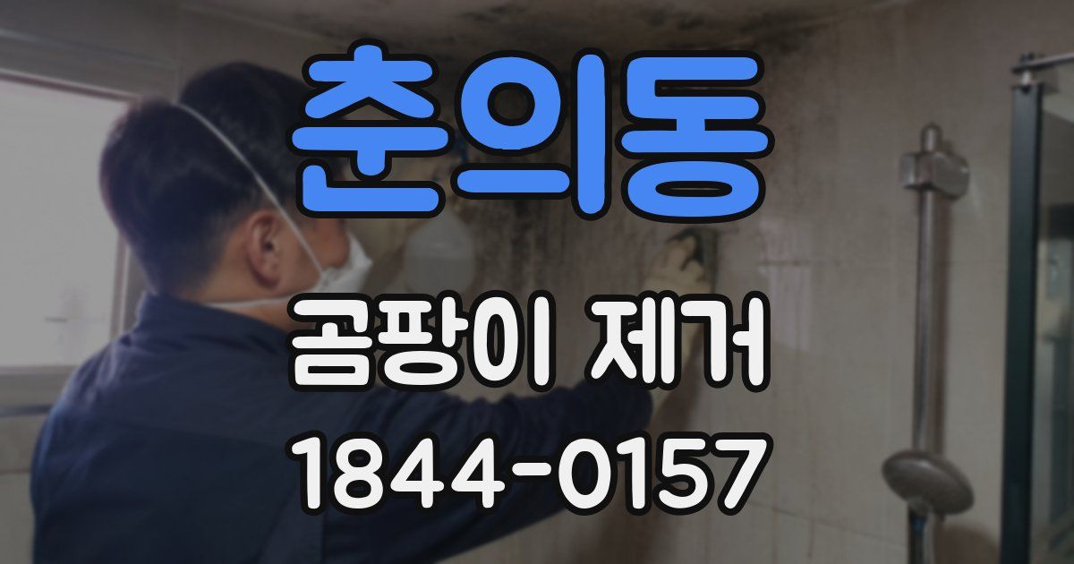 춘의동 곰팡이 제거