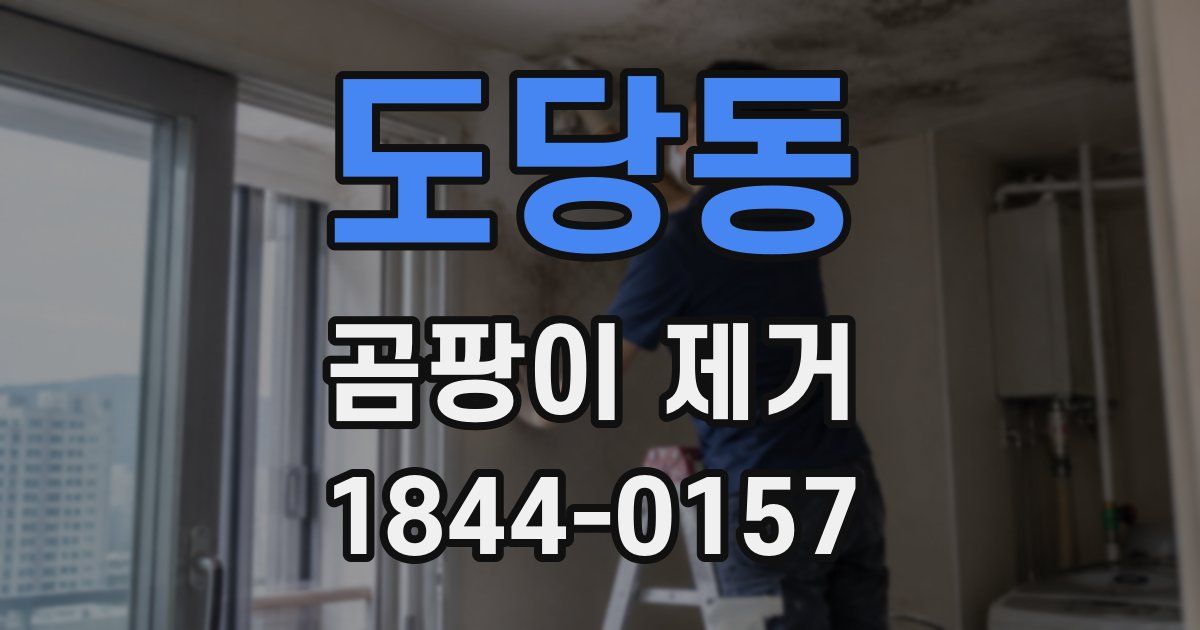 도당동 곰팡이 제거