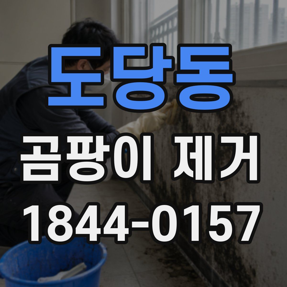 도당동 곰팡이 제거
