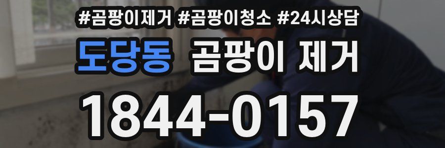 도당동 곰팡이 제거