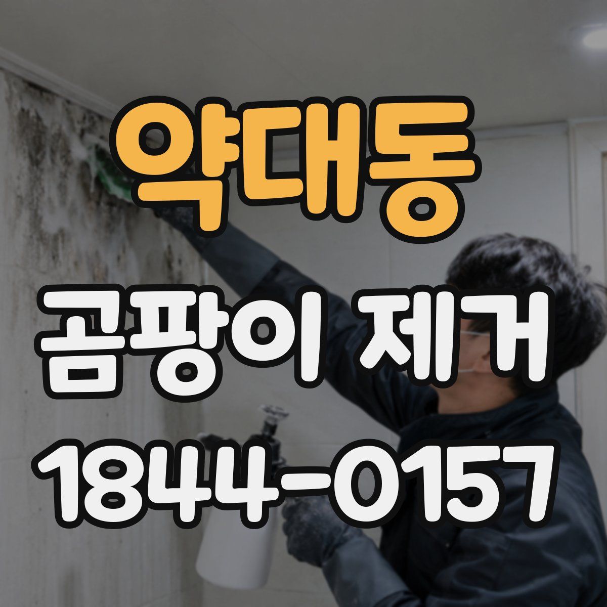 약대동 곰팡이 제거