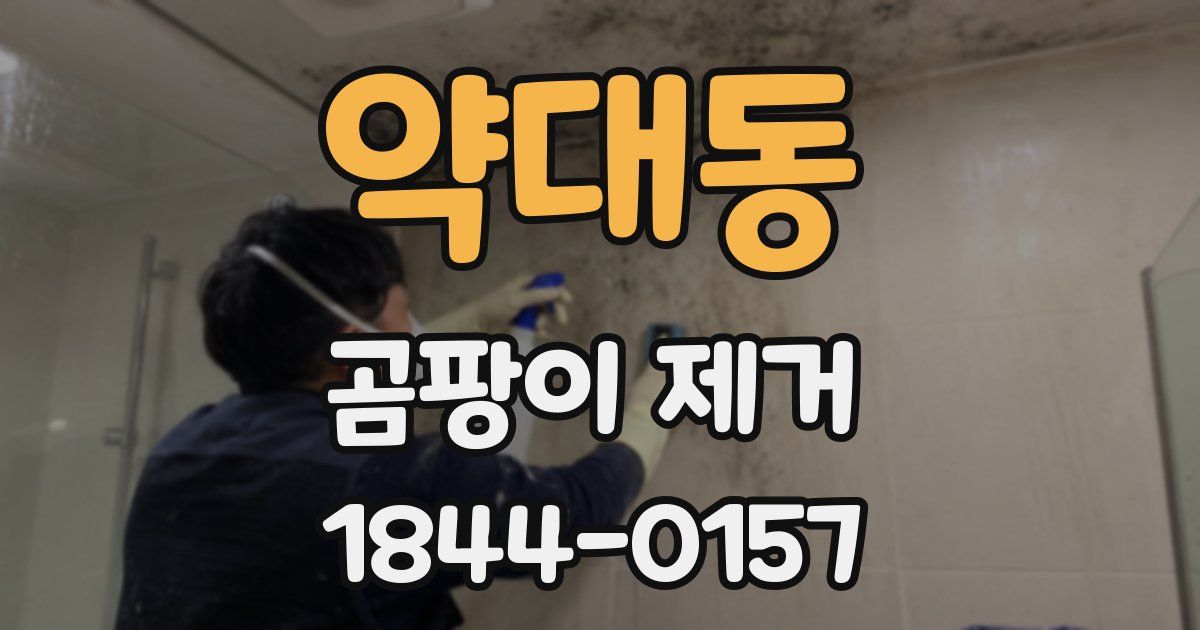 약대동 곰팡이 제거
