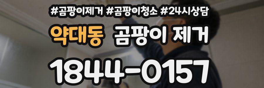 약대동 곰팡이 제거