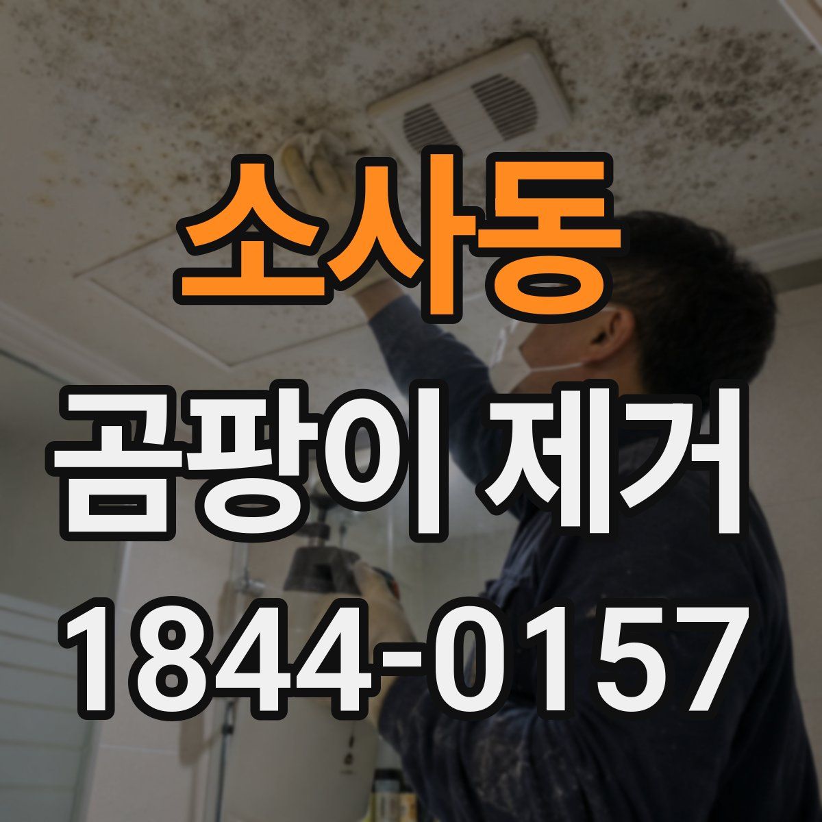 소사동 곰팡이 제거