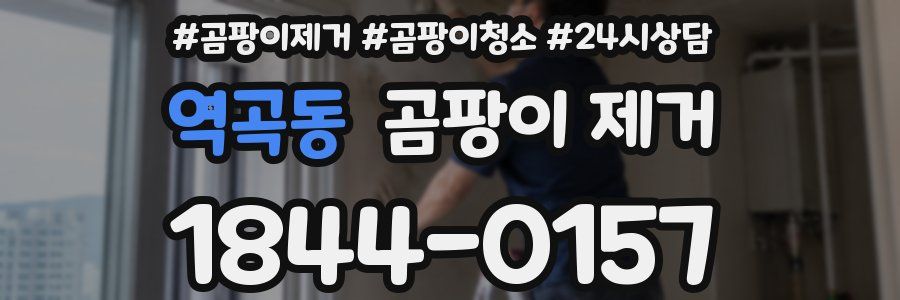 역곡동 곰팡이 제거