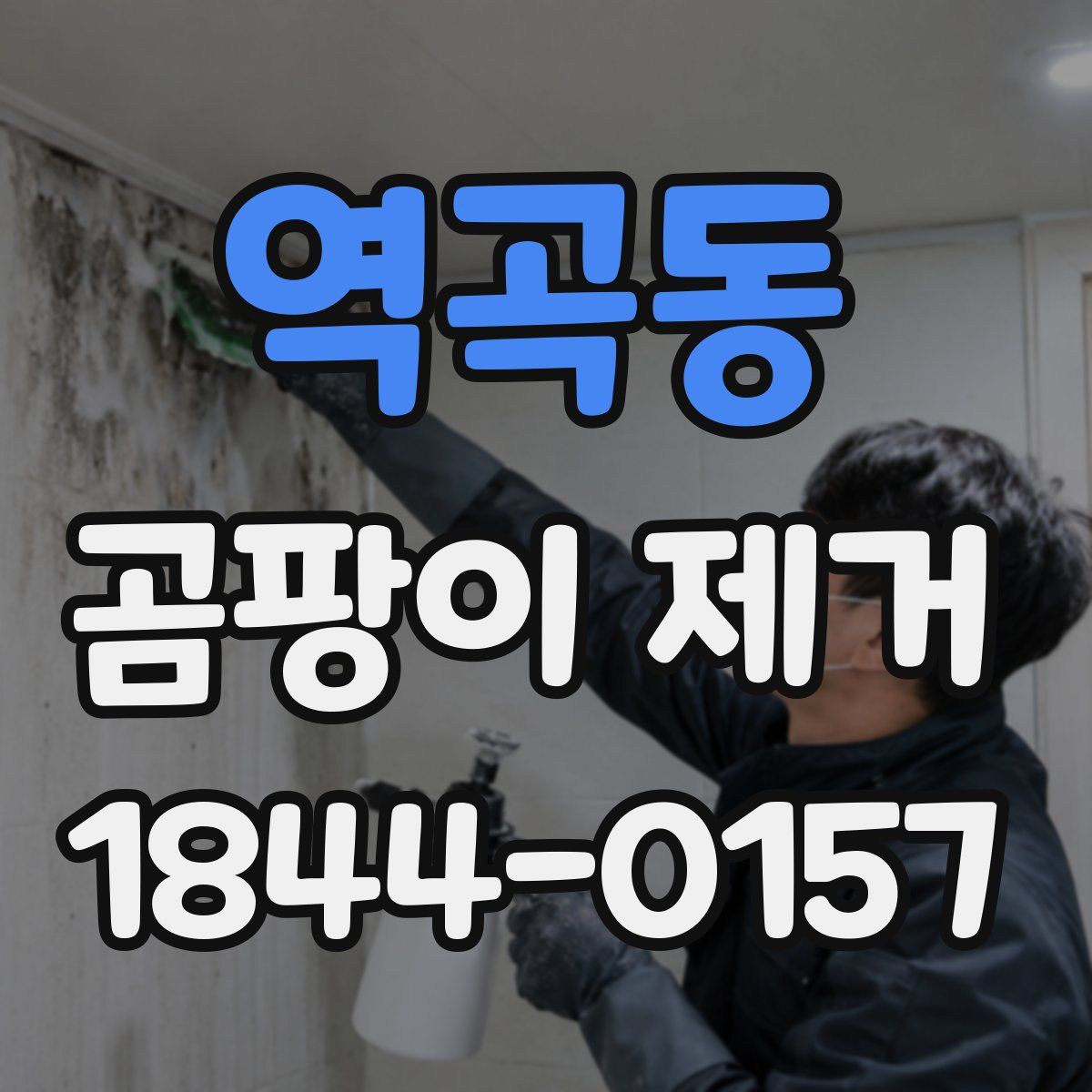 역곡동 곰팡이 제거