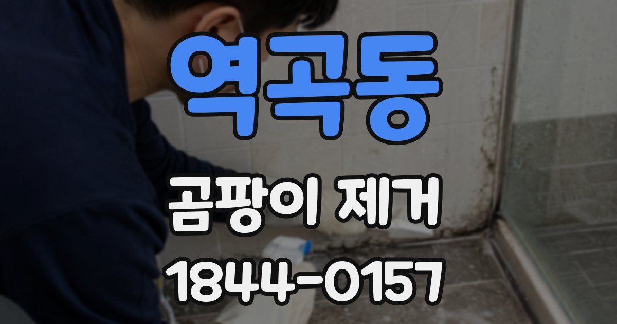 역곡동 곰팡이 제거