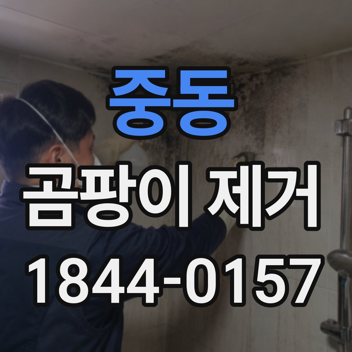 중동 곰팡이 제거