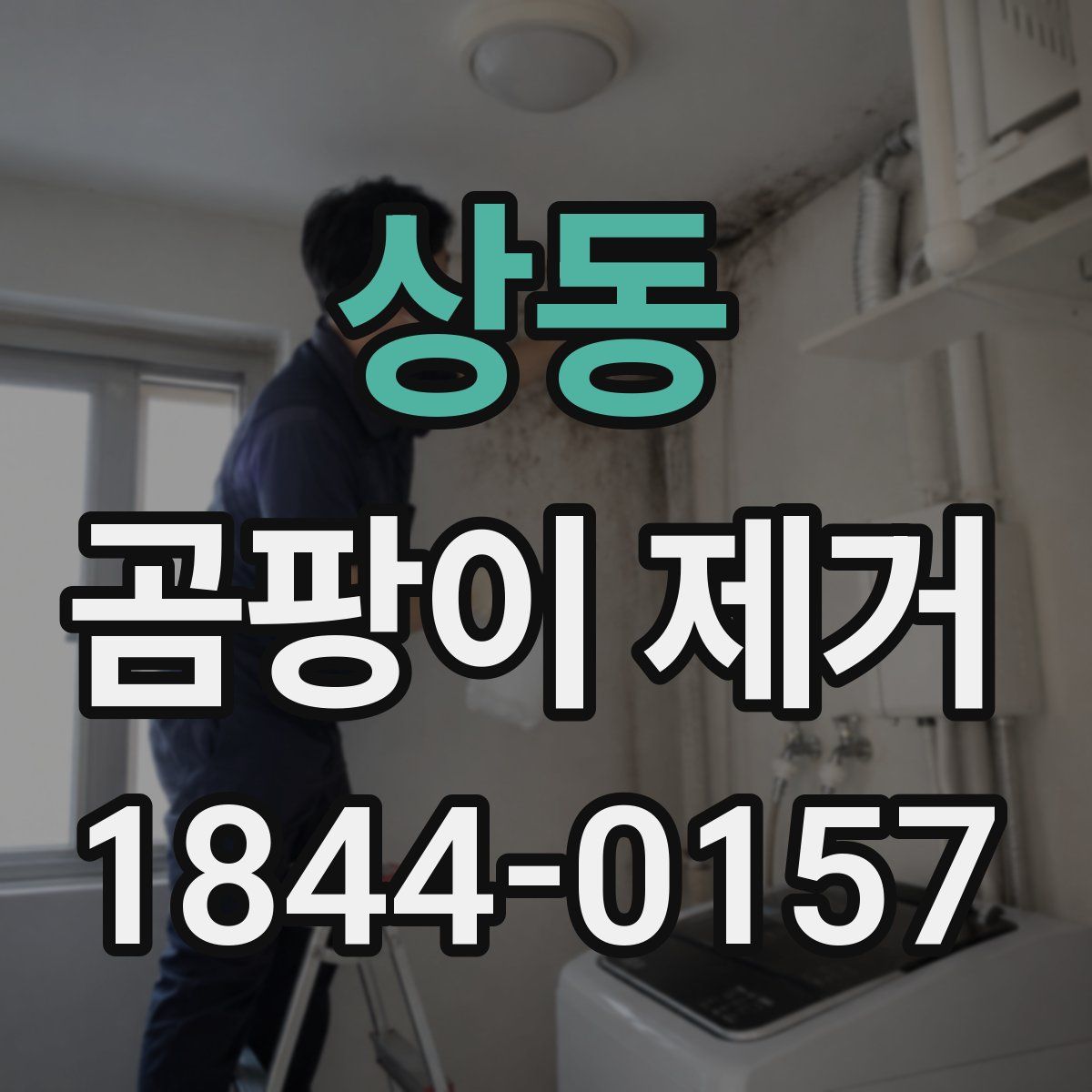 상동 곰팡이 제거