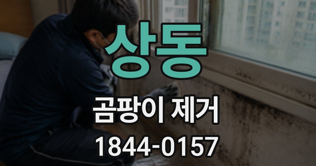 상동 곰팡이 제거