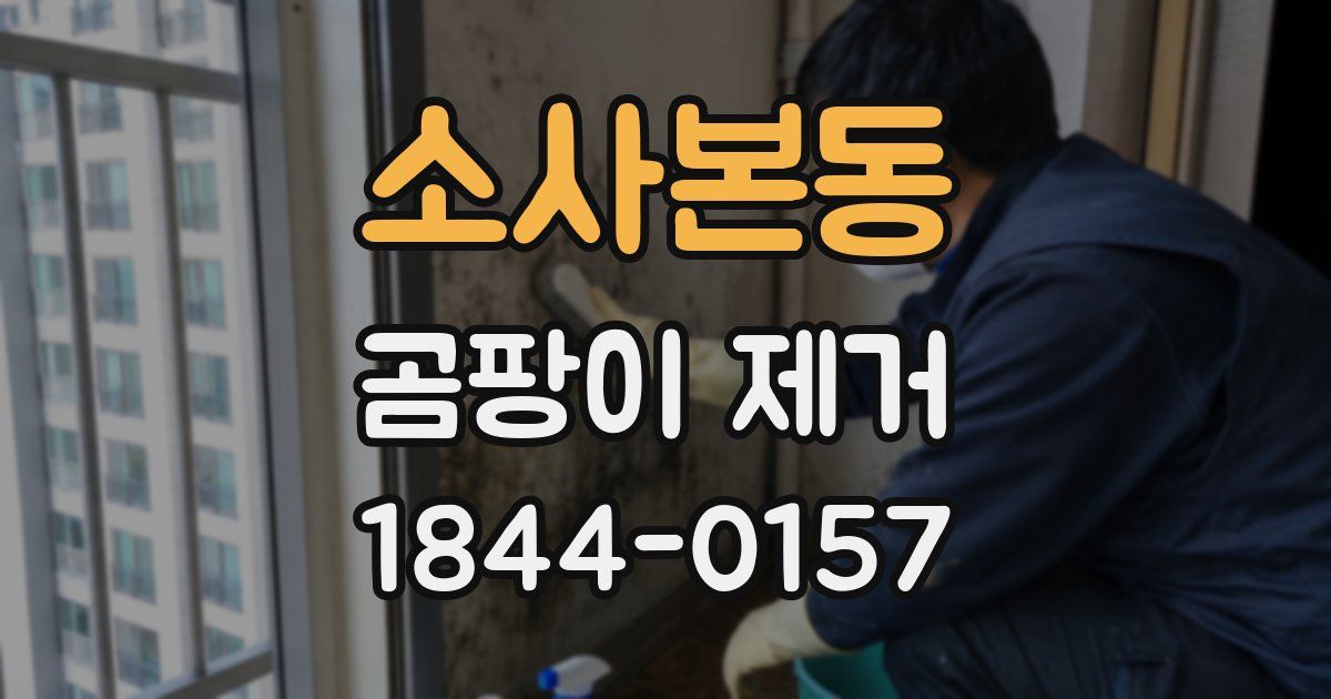 소사본동 곰팡이 제거