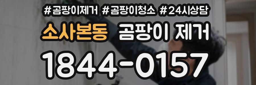 소사본동 곰팡이 제거