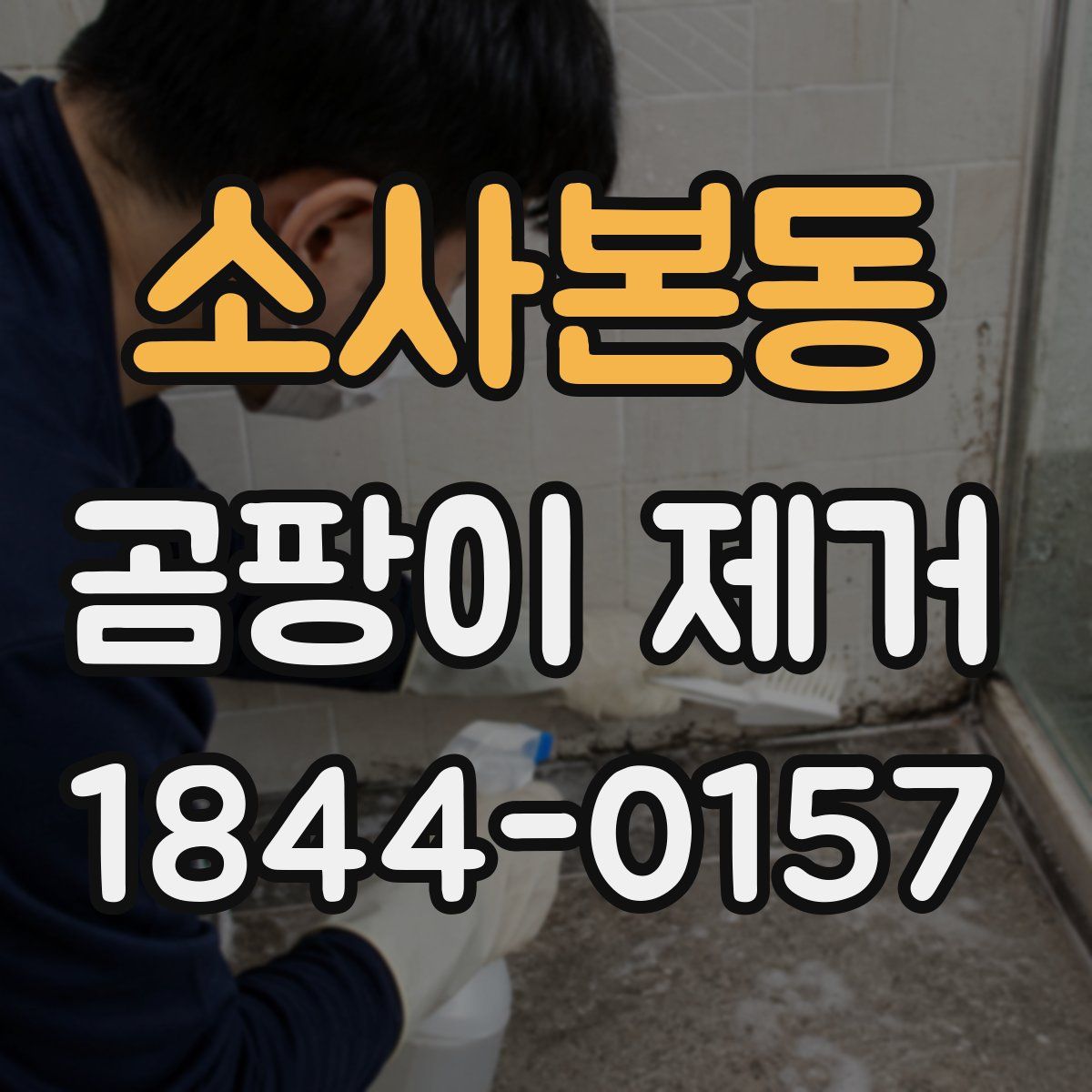 소사본동 곰팡이 제거