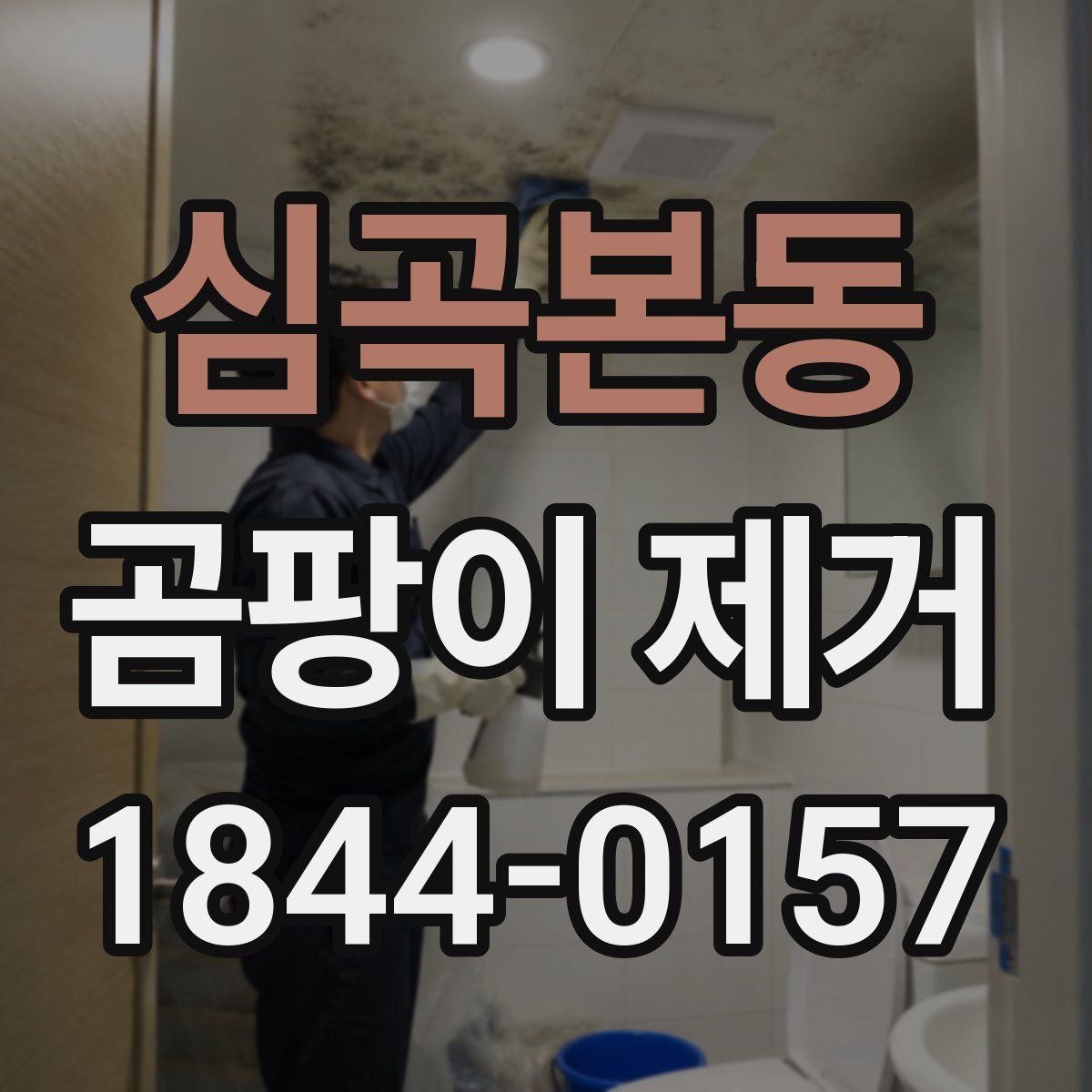 심곡본동 곰팡이 제거