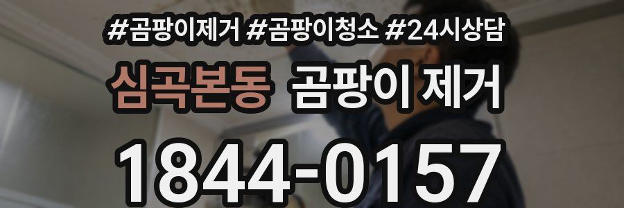 심곡본동 곰팡이 제거