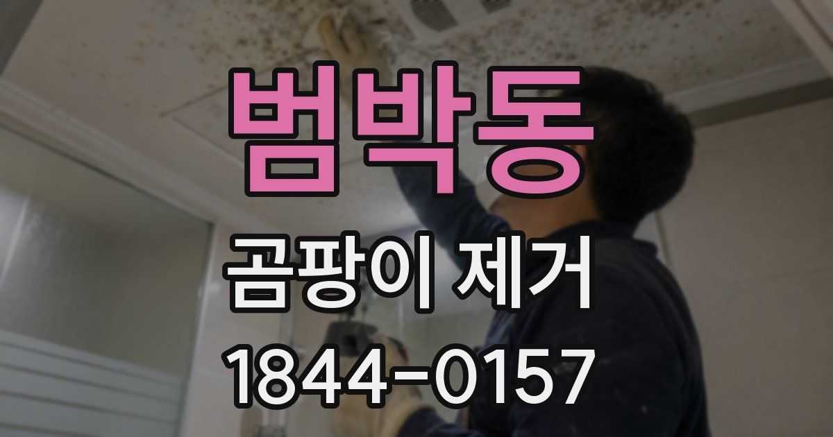 범박동 곰팡이 제거