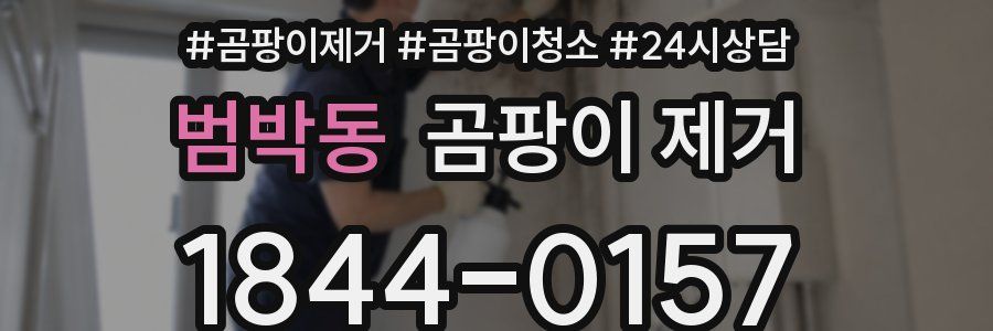 범박동 곰팡이 제거