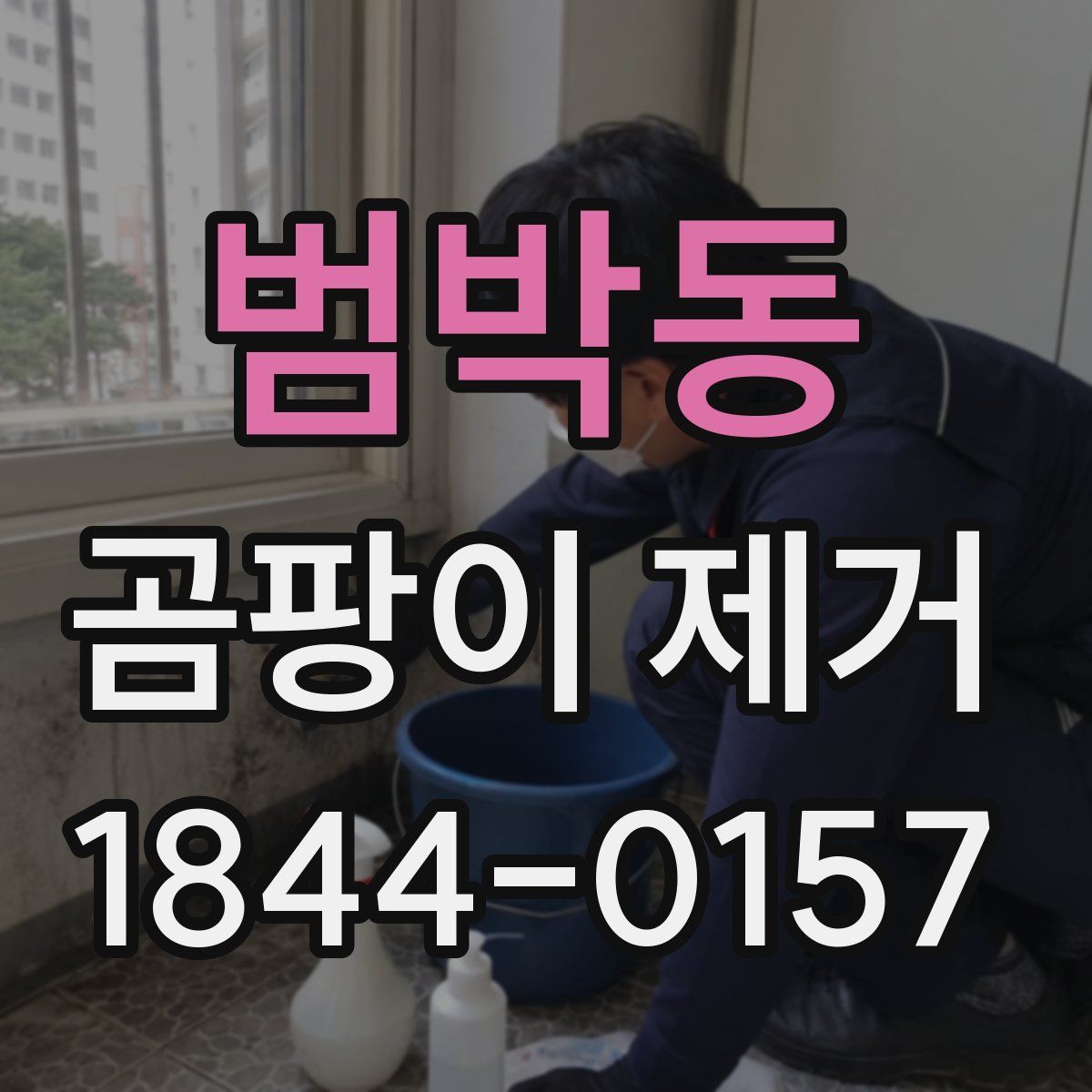 범박동 곰팡이 제거