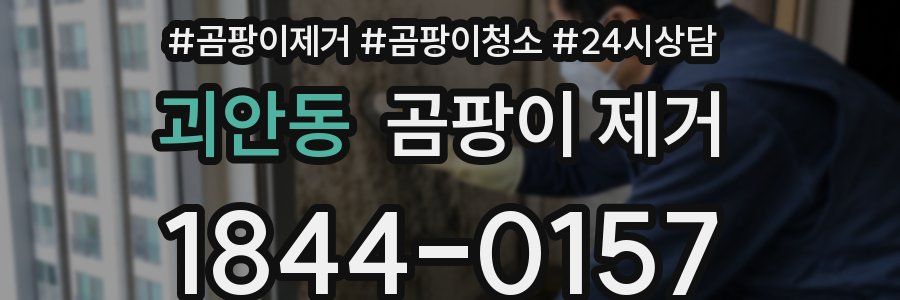 괴안동 곰팡이 제거