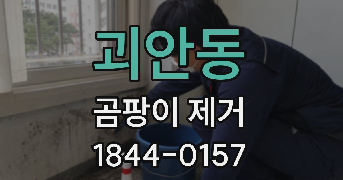 괴안동 곰팡이 제거