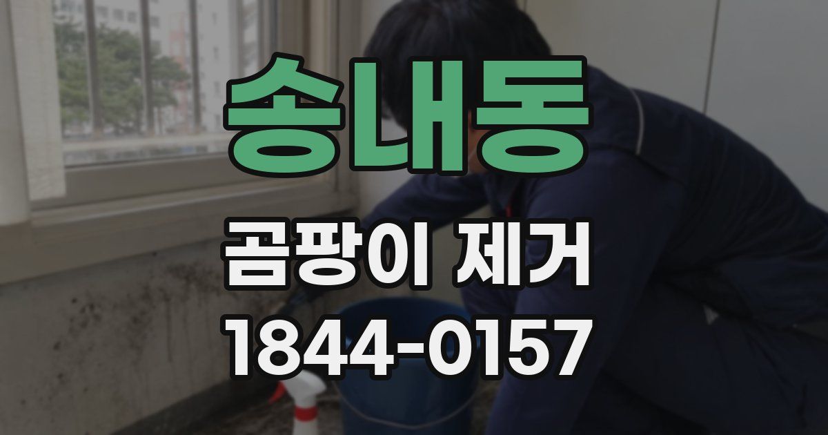 송내동 곰팡이 제거