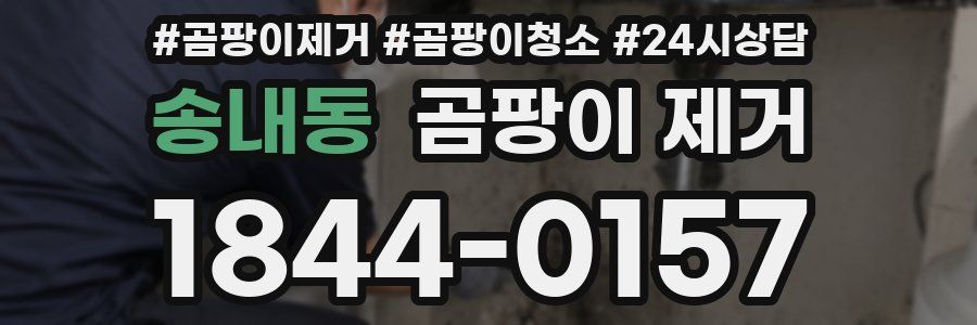 송내동 곰팡이 제거