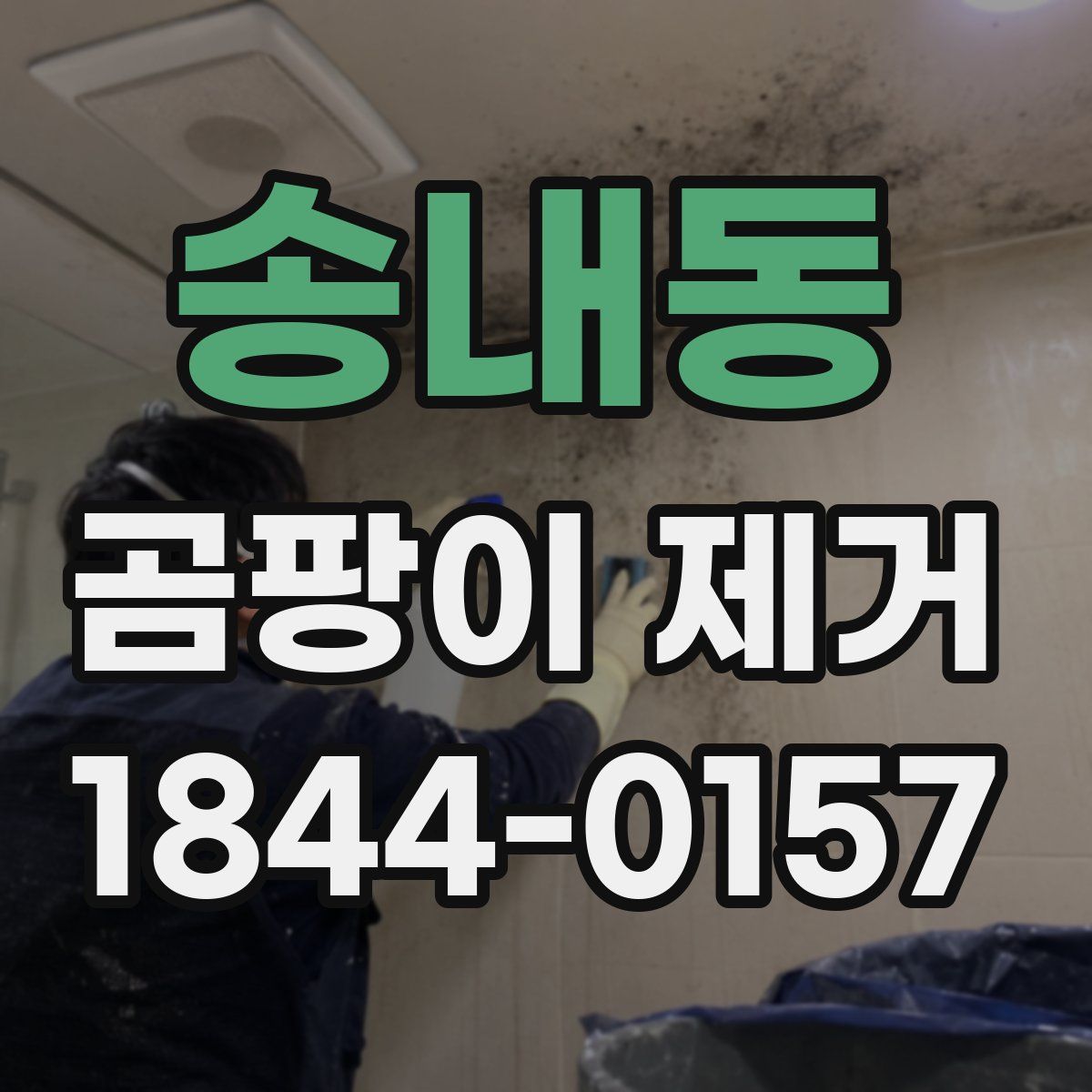 송내동 곰팡이 제거