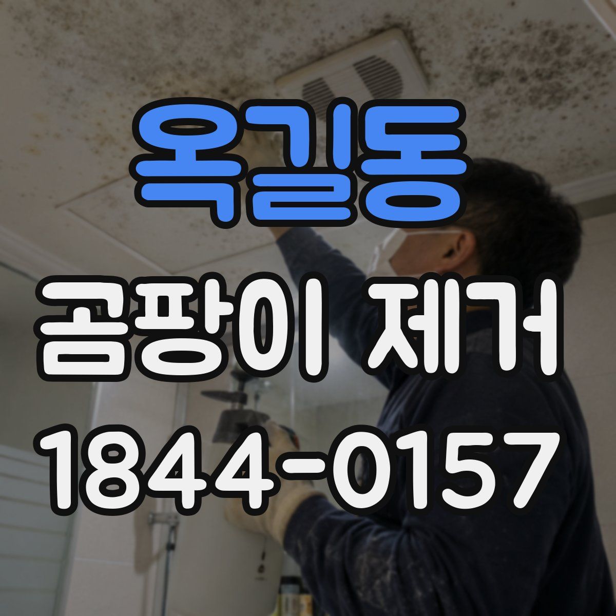 옥길동 곰팡이 제거