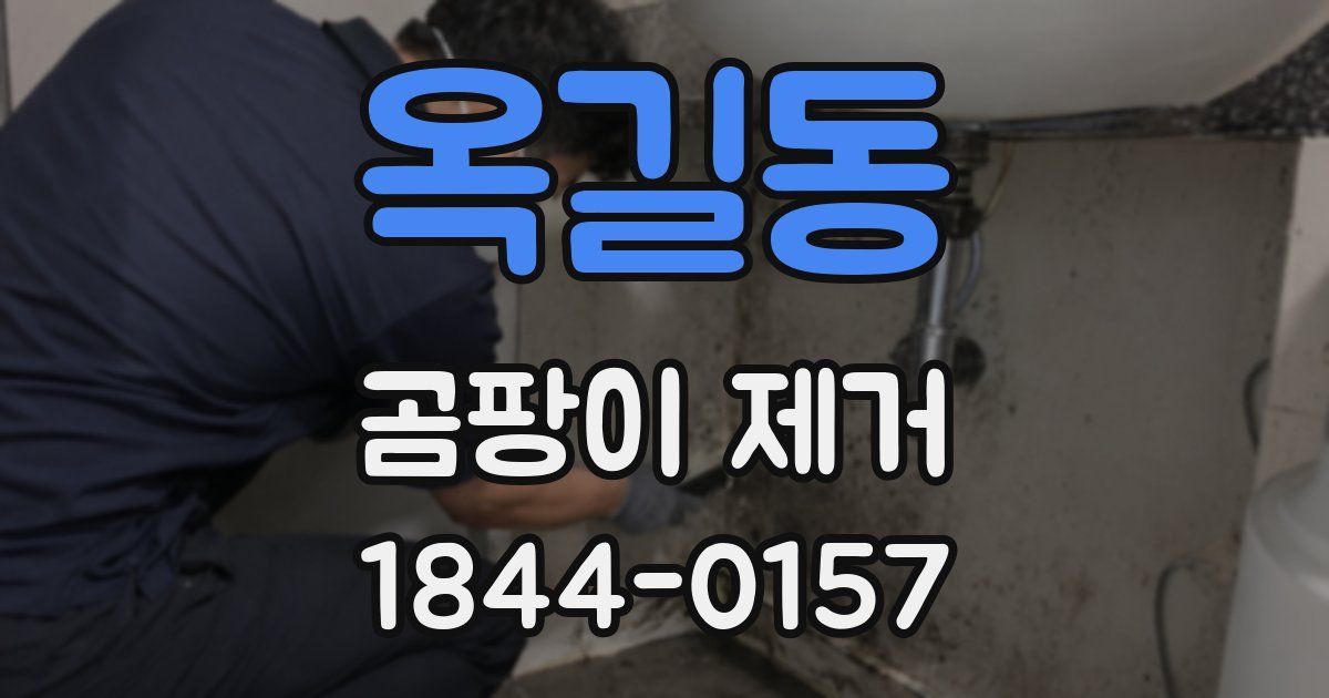 옥길동 곰팡이 제거