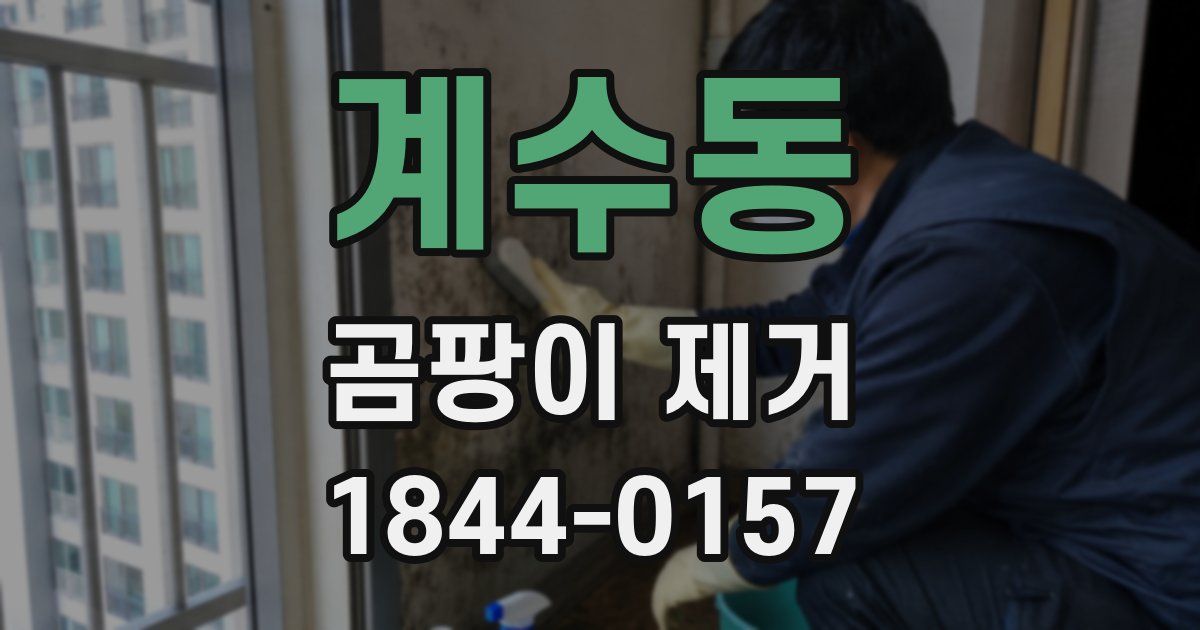 계수동 곰팡이 제거