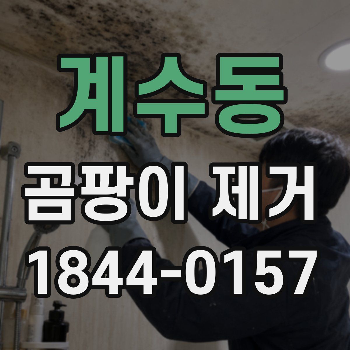 계수동 곰팡이 제거
