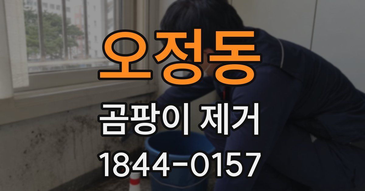 오정동 곰팡이 제거