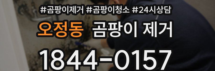 오정동 곰팡이 제거