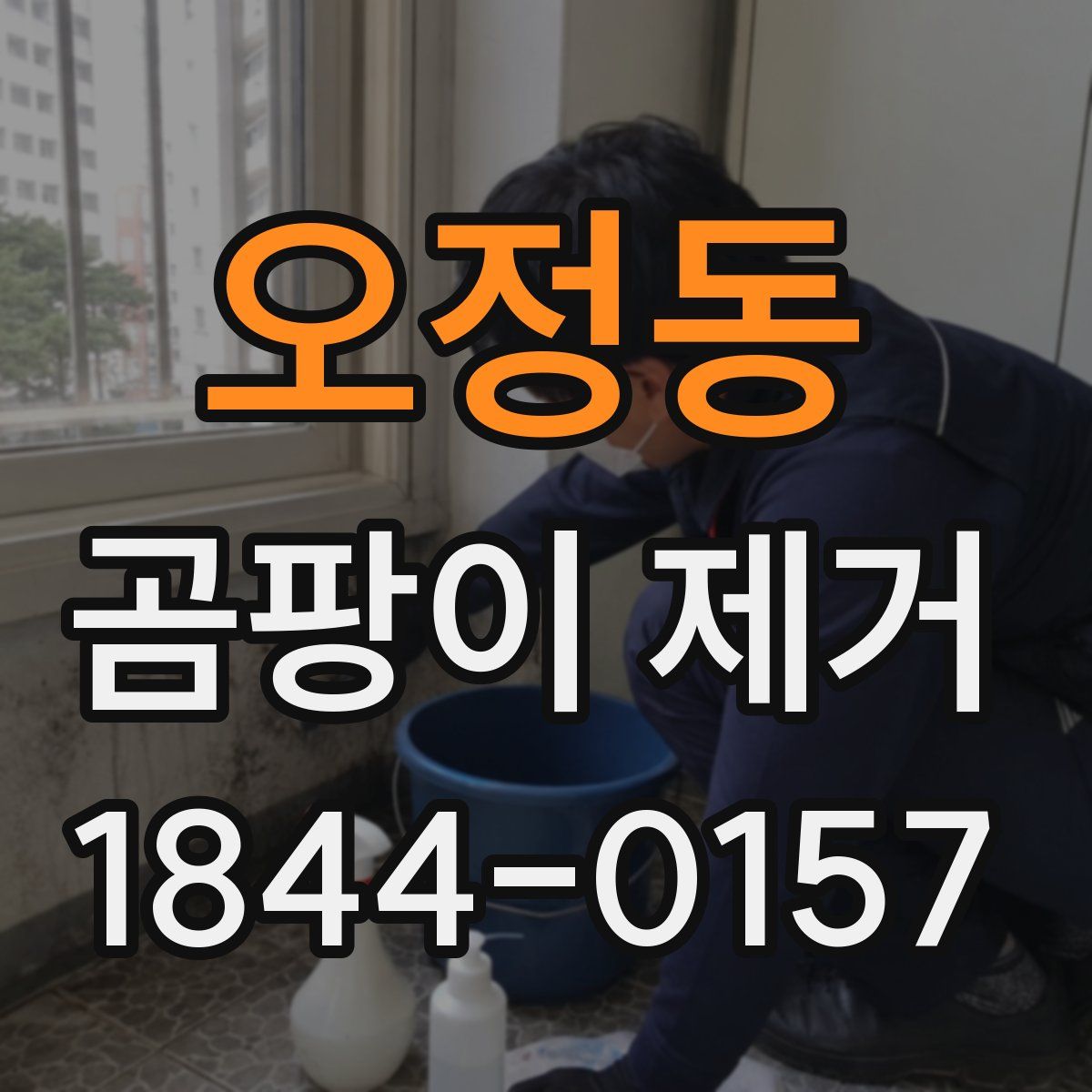 오정동 곰팡이 제거