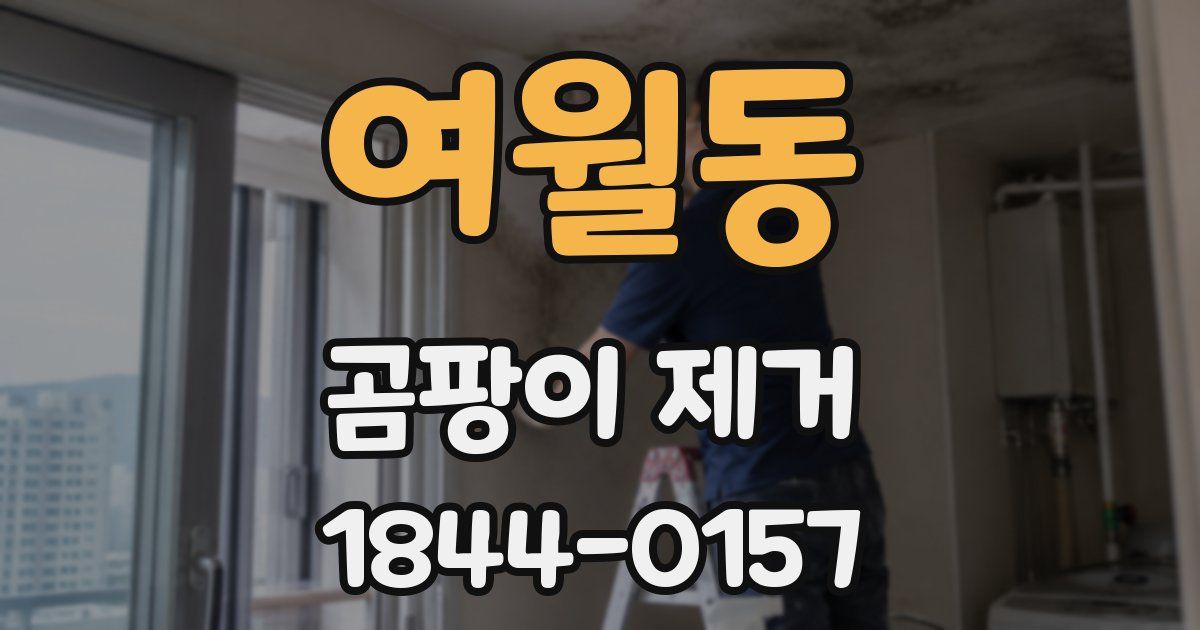 여월동 곰팡이 제거