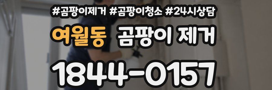 여월동 곰팡이 제거