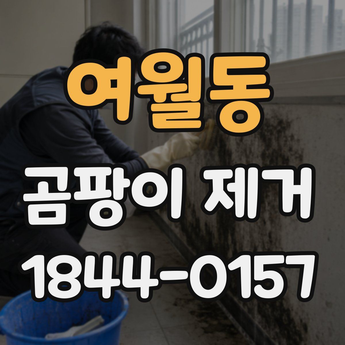 여월동 곰팡이 제거