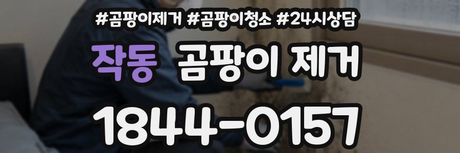 작동 곰팡이 제거